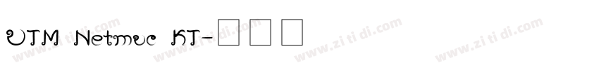 UTM Netmuc KT字体转换